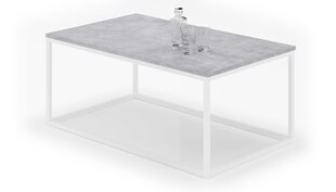 Журнальный столик ADRK Furniture Narisa 100х60 см, серый/белый цвет цена и информация | Журнальные столики | kaup24.ee