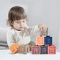 Montessori sensoorne, mänguasjad beebidele, 6-12 kuud цена и информация | Imikute mänguasjad | kaup24.ee