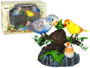 Laulvad papagoid okste peal koos valgus- ja heliefektidega hind ja info | Poiste mänguasjad | kaup24.ee