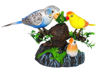 Laulvad papagoid okstel valgus- ja heliefektidega, sinine hind ja info | Poiste mänguasjad | kaup24.ee