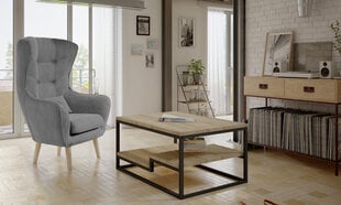 Комплект мебели для гостиной Eltap Marlo + Arti, серый/коричневый цвет цена и информация | Кресла в гостиную | kaup24.ee
