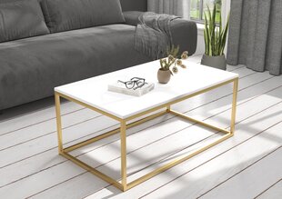 Журнальный столик ADRK Furniture Narisa 100x60 см, белый/золотой цвет цена и информация | Журнальные столики | kaup24.ee