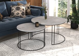 Комплект кофейных столиков ADRK Furniture Etta, серый/черный цвет цена и информация | Журнальные столики | kaup24.ee
