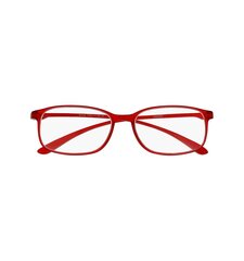 Brilles lasīšanai 7053 D1.00 Flexible Red цена и информация | Очки | kaup24.ee