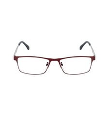 Brilles lasīšanai 7706 D1.25 Red Metal цена и информация | Очки | kaup24.ee