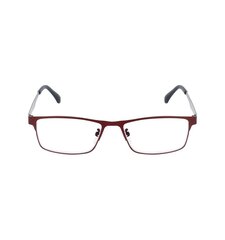 Brilles lasīšanai 7706 D1.50 Red Metal цена и информация | Очки | kaup24.ee