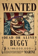 Plakat One Piece hind ja info | Fännitooted mänguritele | kaup24.ee