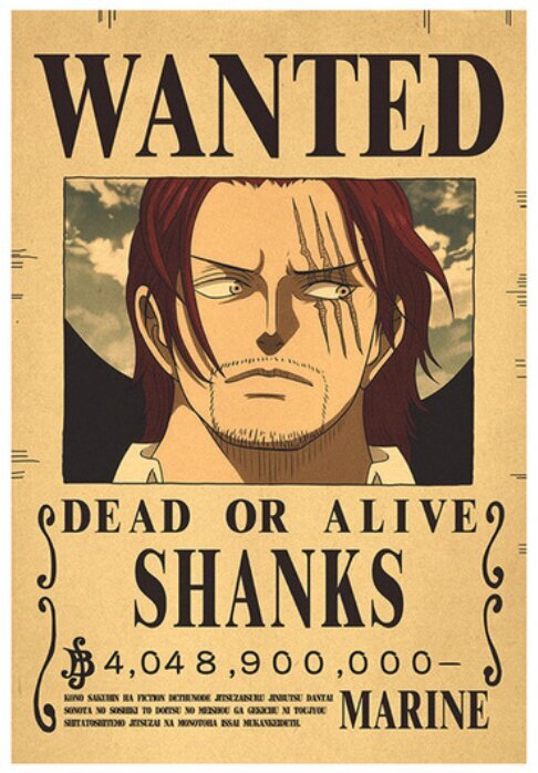 Plakat One Piece hind ja info | Seinapildid | kaup24.ee