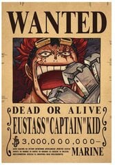 Плакат One Piece цена и информация | Атрибутика для игроков | kaup24.ee