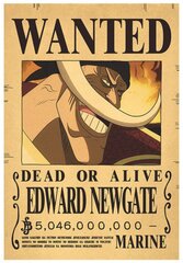 Plakat One Piece hind ja info | Seinapildid | kaup24.ee