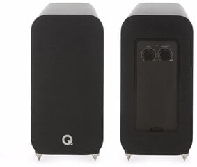 Q Acoustics Q3060S цена и информация | Домашняя акустика и системы «Саундбар» («Soundbar“) | kaup24.ee