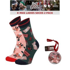 Jõulusokid naistele Apollo jõuluehtekujulises pakendis, erinevad värvid, 2 paari hind ja info | apollo Jalanõud, riided ja aksessuaarid | kaup24.ee