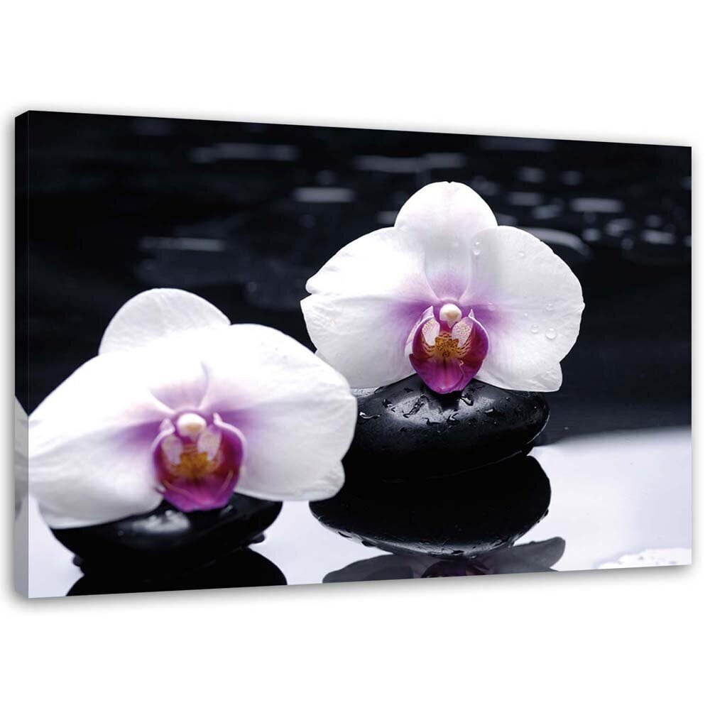 Seinapilt Orhidee Zen stiilis hind ja info | Seinapildid | kaup24.ee
