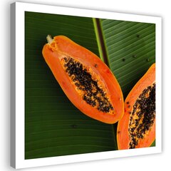 Seinapilt Papaya lehel hind ja info | Seinapildid | kaup24.ee