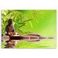 Seinapilt Buddha ja bambuslehed hind ja info | Seinapildid | kaup24.ee