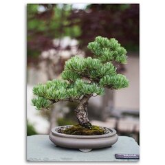 Seinapilt Bonsai puu цена и информация | Настенные деревянные декорации | kaup24.ee