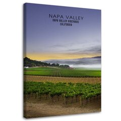 Seinapilt Napa Valley koidikul цена и информация | Картины, живопись | kaup24.ee