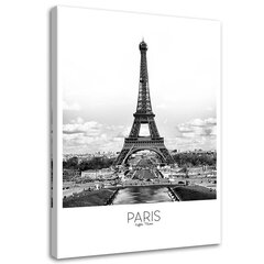 Seinapilt Pariisi Eiffeli torn цена и информация | Репродукции, картины | kaup24.ee