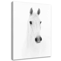 Seinapilt Valge hobune цена и информация | Картины, живопись | kaup24.ee