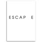 Seinapilt Escape hind ja info | Seinapildid | kaup24.ee