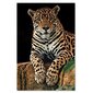 Seinapilt Leopard hind ja info | Seinapildid | kaup24.ee