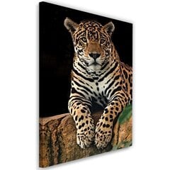 Картина в рамке "Леопард" (Leopard) цена и информация | Картины, живопись | kaup24.ee