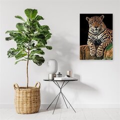 Seinapilt Leopard hind ja info | Seinapildid | kaup24.ee