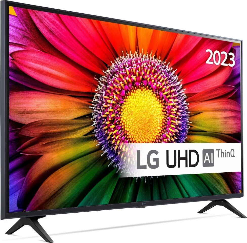 LG 43UR80006LJ.AEUD цена и информация | Telerid | kaup24.ee