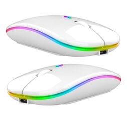 Wireless RGB Mouse 1884191116406 hind ja info | Hiired | kaup24.ee
