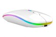 Wireless RGB Mouse 1884191116406 цена и информация | Hiired | kaup24.ee