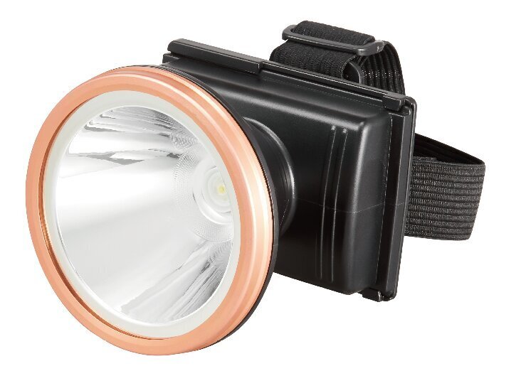 LED pealamp akuga цена и информация | Taskulambid, prožektorid | kaup24.ee