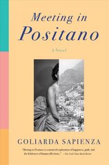 Meeting in Positano: A Novel цена и информация | Фантастика, фэнтези | kaup24.ee