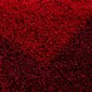 Vaip Ayyildiz LIFE RED, 120x170 cm hind ja info | Vaibad | kaup24.ee