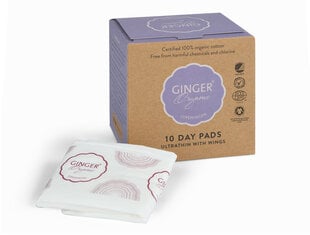 Igapäevased hügieenisidemed Ginger Organic 10 tk цена и информация | Тампоны, гигиенические прокладки для критических дней, ежедневные прокладки | kaup24.ee