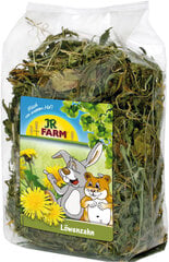 Lisatoit närilistele JR Farm Dandelion, 500 g цена и информация | Корм для грызунов | kaup24.ee