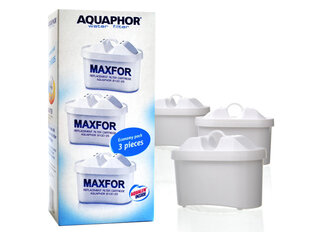 Кассета для фильтра Aquaphor Maxfor B100-25, 3 шт цена и информация | Фильтры для воды | kaup24.ee