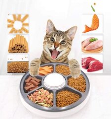 Дозатор сухого корма для собак и кошек автоматический цена и информация | Миски, ящики для корма | kaup24.ee