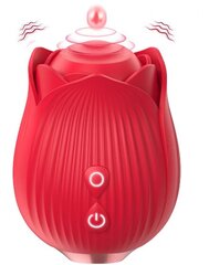 Naiste roosa vibraator hind ja info | Vibraatorid | kaup24.ee