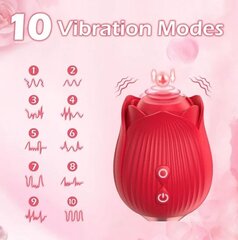 Naiste roosa vibraator цена и информация | Вибраторы | kaup24.ee