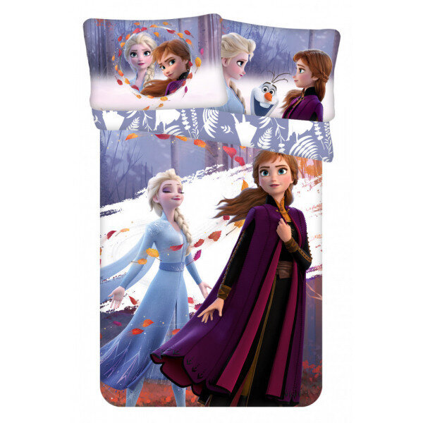 Disney laste voodipesukomplekt, 140x200, 2 osa hind ja info | Beebide ja laste voodipesu | kaup24.ee