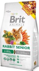 Toit eakatele küülikutele Brit Animals Rabbit Senior Complete, 1,5 kg цена и информация | Корм для грызунов | kaup24.ee