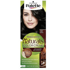 Постоянная краска Palette Natural Schwarzkopf цена и информация | Краска для волос | kaup24.ee