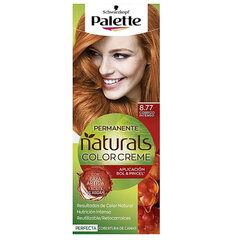 Püsivärv Palette Natural Schwarzkopf hind ja info | Juuksevärvid | kaup24.ee