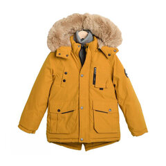Зимняя куртка-парка для мальчика, желтая цена и информация | Куртки для мальчиков | kaup24.ee