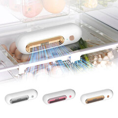 Устройство для удаления запахов в холодильнике Genetic, 1 шт. цена и информация | Очистители | kaup24.ee