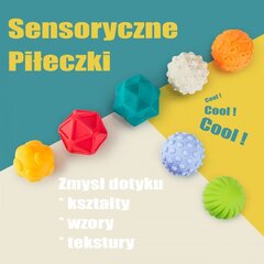 Sensoorsed klotsid Woopie, 20 tk цена и информация | Игрушки для малышей | kaup24.ee