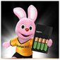 Patareid koos akulaadijaga Duracell цена и информация | Akulaadijad | kaup24.ee