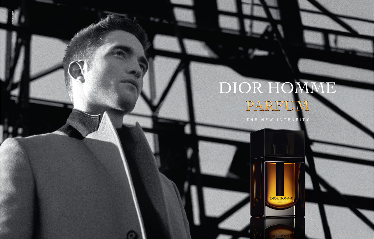 Parfüümvesi Dior Homme Parfum EDP meestele 75 ml hind ja info | Meeste parfüümid | kaup24.ee