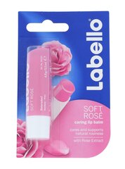 Labello Soft Rose бальзам для губ 5,5 мл цена и информация | Помады, бальзамы, блеск для губ | kaup24.ee