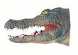 Krokodilli pea цена и информация | Poiste mänguasjad | kaup24.ee